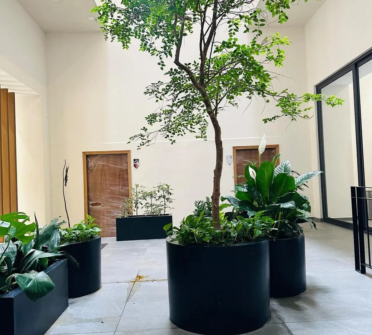 Luxury Apartment In Guadalajara, Zapopan  Guadalajara
